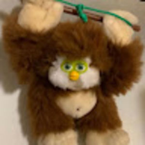 Meet your Posher, Evangelynn